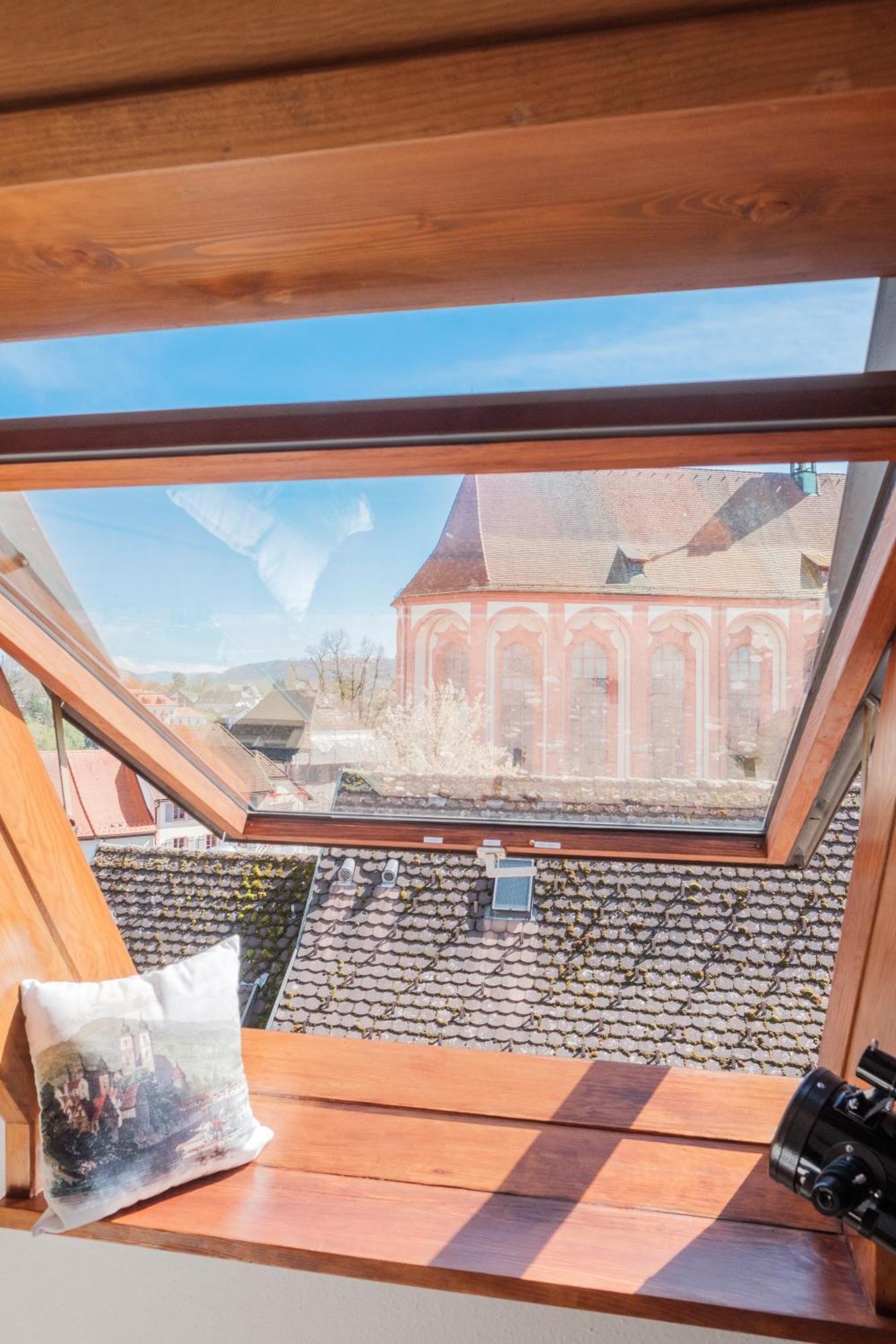 Neu Deluxe Suite Muensterblick, Maisonette, Kingsize Bett, Kueche, Netflix, Aussicht, E-Kamin Бад-Зекинген Экстерьер фото